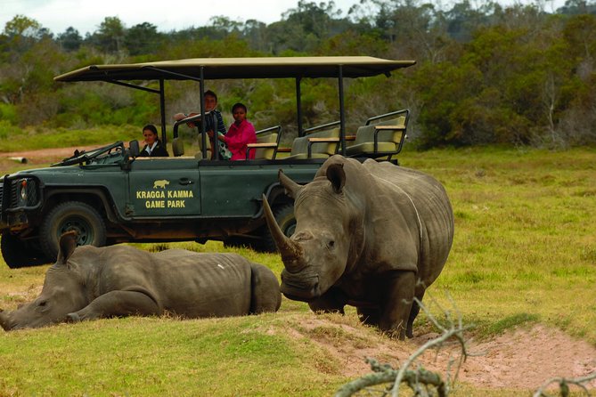 Skip the Line: 2-Hour Guided Game Drive at Kragga Kamma Game Park Ticket - Included in the Experience