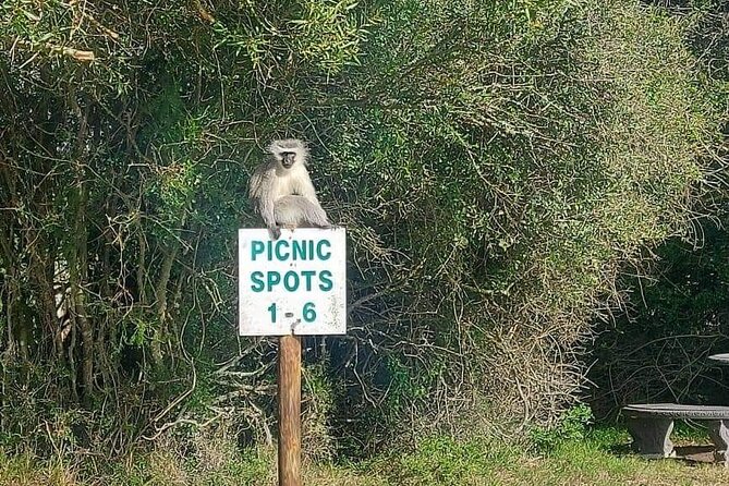 Skip the Line: 2-Hour Guided Game Drive at Kragga Kamma Game Park Ticket - Important Information to Remember