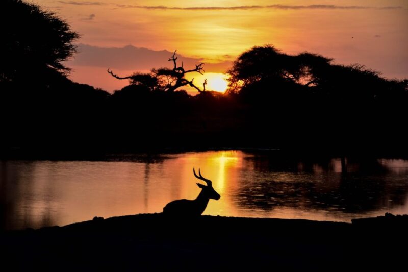 Skip The Line Access: Panna National Park Jungle Safari - Cancellation and Refund Policies