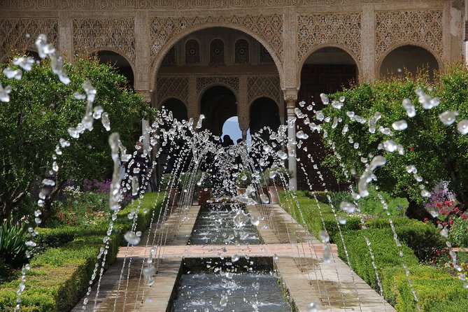 Skip the Line Alhambra Guided Tour - Meeting Point and Logistics
