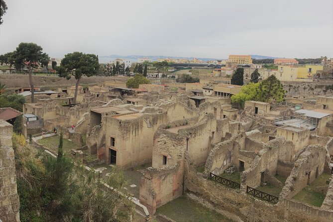 Skip the Line Ancient Herculaneum Walking Tour With Top Rated Guide - Inclusions and Exclusions