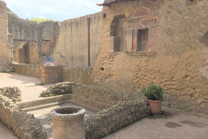 Skip the Line Ancient Herculaneum Walking Tour With Top Rated Guide - Physical Requirements