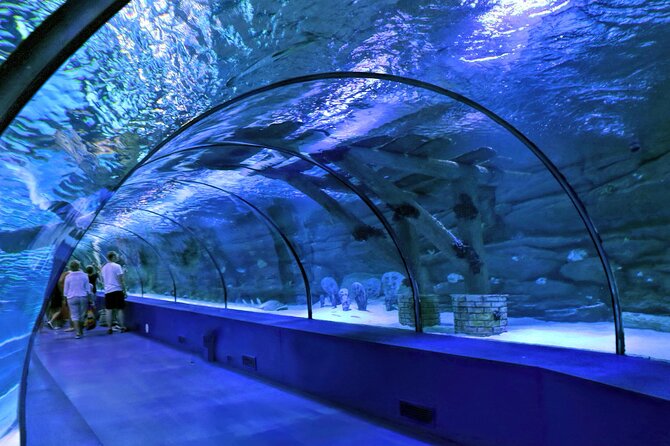 Skip the Line: Antalya Aquarium Ticket - Wax Museum Experience