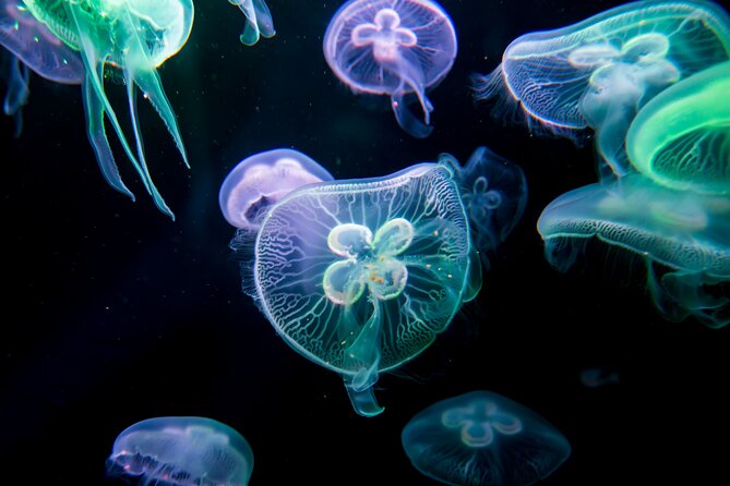 Skip the Line: Antalya Aquarium Ticket - Family-Friendly Attractions
