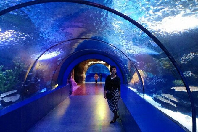 Skip the Line: Antalya Aquarium Ticket - Admission and Ticketing Details