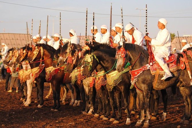 Skip The Line At Chez Ali Marrakech Fantasia Show - Customer Feedback Overview