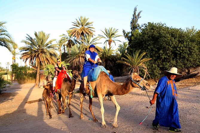 Skip the Line at : Majorelle Garden and Palm Garden. - Private Tour Experience