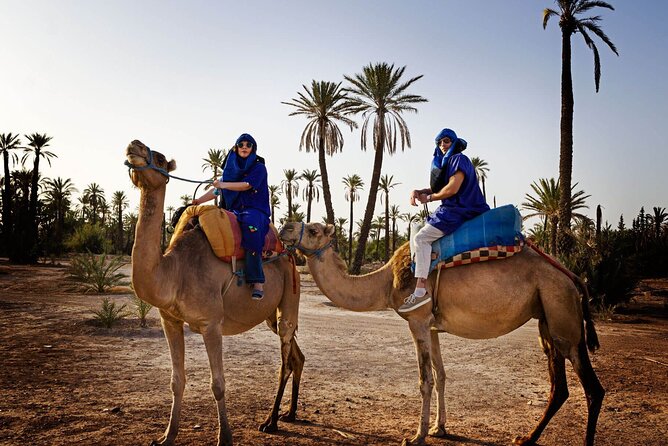 Skip the Line at : Majorelle Garden and Palm Garden. - Booking Your Stay