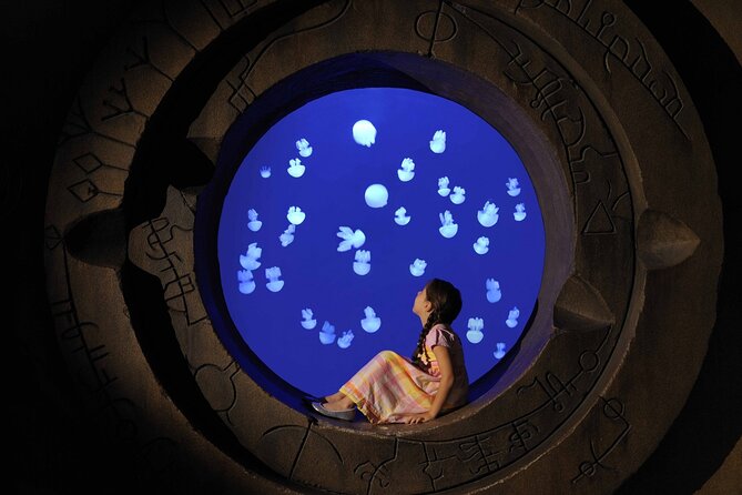 Skip The Line : Atlantis Lost Chambers Aquarium - Key Points