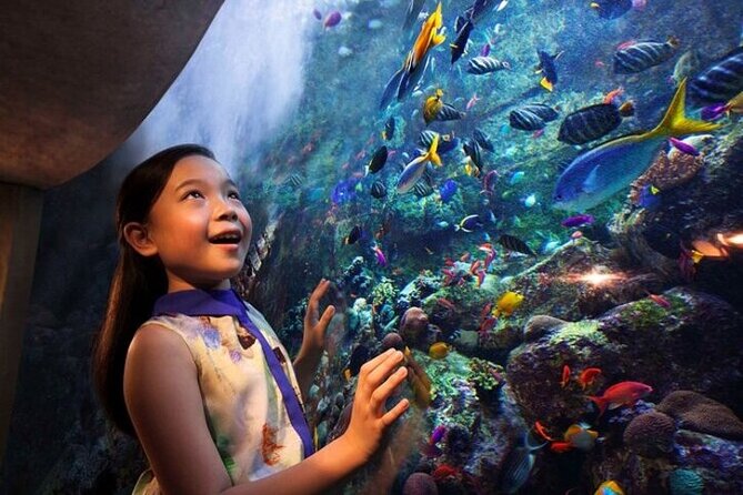 Skip The Line : Atlantis Lost Chambers Aquarium - Operating Hours