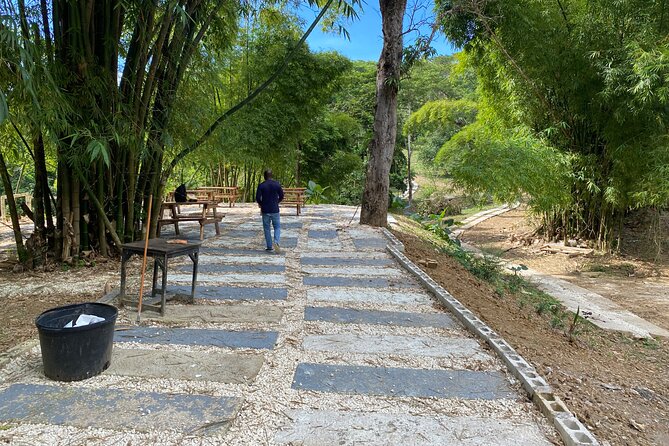 Skip the Line Atv, Horse Back Riding and Zipline From Montegobay - Tour Reviews