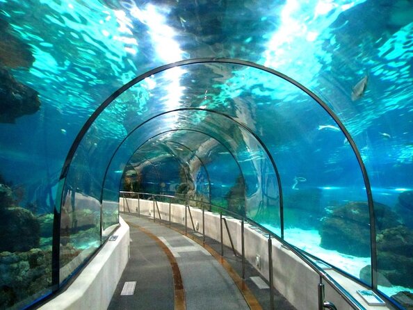 Skip the Line: Barcelona Aquarium Ticket - Good To Know