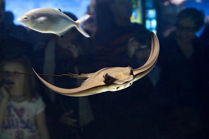 Skip the Line: Barcelona Aquarium Ticket - Additional Information for Visitors