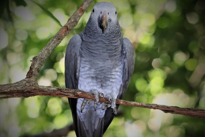Skip the Line: Birds of Eden Admission Ticket - Onsite Amenities