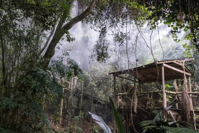 Skip the Line: Birds of Eden Admission Ticket - Frequently Asked Questions