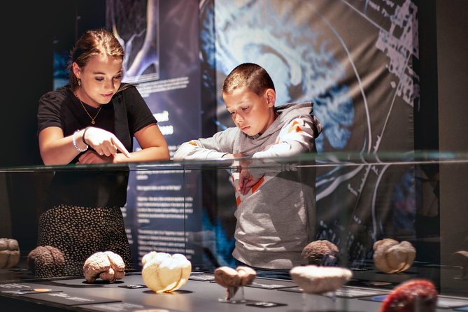 Skip the Line: Body Worlds Amsterdam Ticket - Permanent Interactive Installations