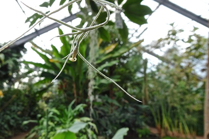 Skip-the-Line: Botanic Garden Entry Ticket - Explore the Expansive Grounds