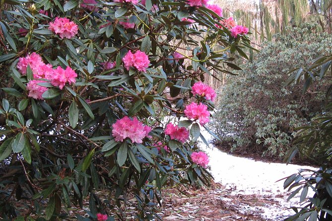 Skip-the-Line: Botanic Garden Entry Ticket - Educational Displays and Attractions