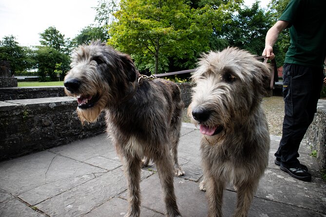 Skip the Line: Bunratty Castle and Folk Park Admission Ticket - Engaging With Costumed Animators