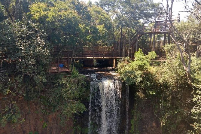 Skip the Line: Cassorova Eco Park Admission Ticket - Panoramic Views