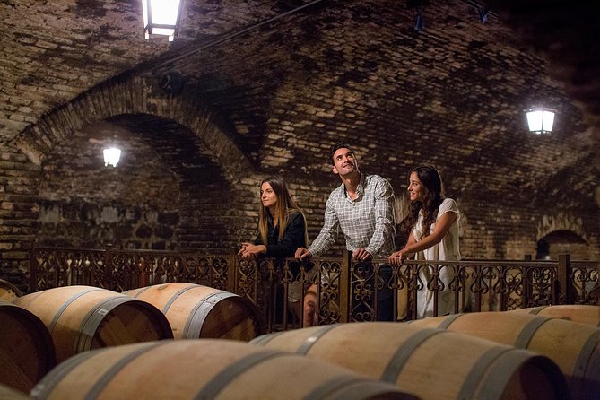 Skip the Line: Concha Y Toro Traditional Tour Ticket - Wine Tasting Experiences
