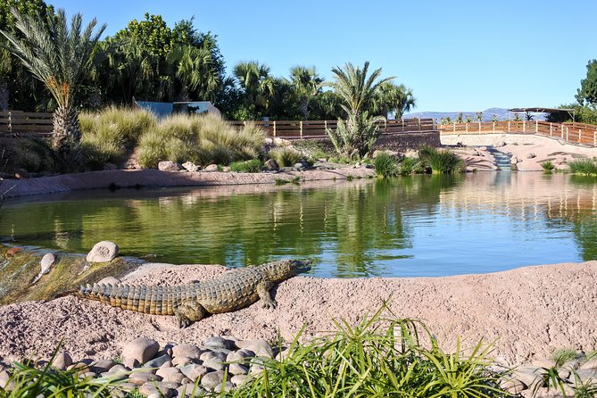 Skip the Line: Crocoparc Admission Ticket - Prepaid Admission Ticket
