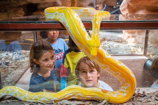 Skip the Line: Crocoparc Admission Ticket - Accessibility and Accommodations
