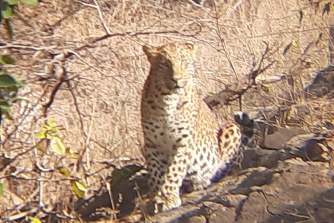 Skip-the-Line Entry for Ranthambore Gypsy Safari - Accessibility and Recommendations