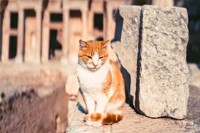 Skip the Line: Ephesus TOUR For Cruise Guests - Small Group - Recommended by Travelers