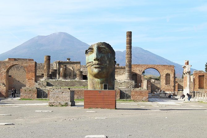 Skip-the-Line Exclusive Private Ancient Pompeii & Vesuvius Volcano Full Day Tour - Tour Experience and Reviews