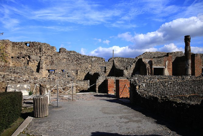 Skip-the-Line Exclusive Private Ancient Pompeii & Vesuvius Volcano Full Day Tour - Physical Requirements and Accessibility