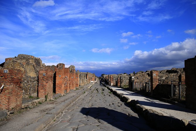 Skip-the-line Exclusive Private Full-Day Complete Ancient Pompeii Guided Tour - Meeting and End Points