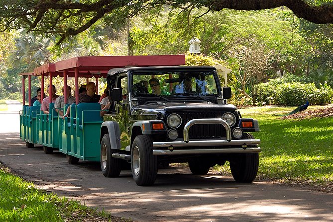 Skip the Line: Flamingo Gardens Admission Ticket in Fort Lauderdale - Visiting Hours and Accessibility