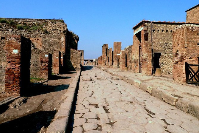 Skip the Line Full Day Tour of Pompeii Through the Ancient Domus - Inclusions
