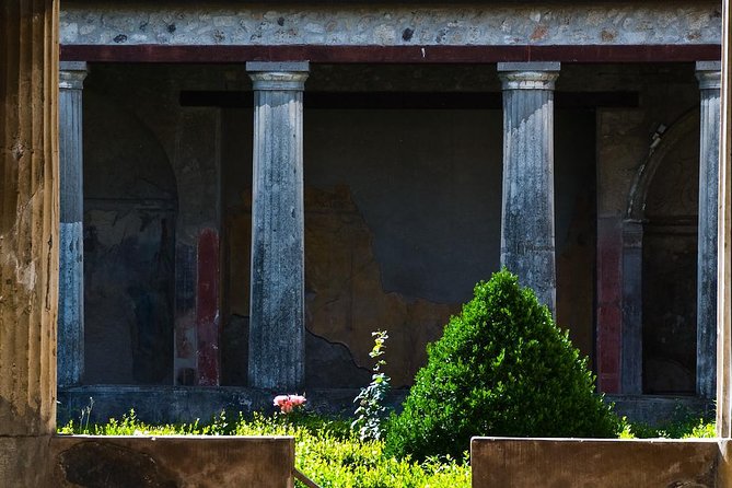 Skip the Line Full Day Tour of Pompeii Through the Ancient Domus - Discovering Pompeiis History