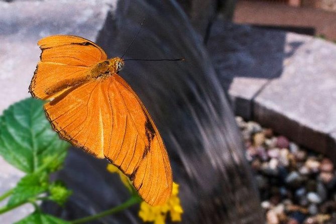 Skip the Line: General Admission to River Bend Nature Center Ticket - Key Points