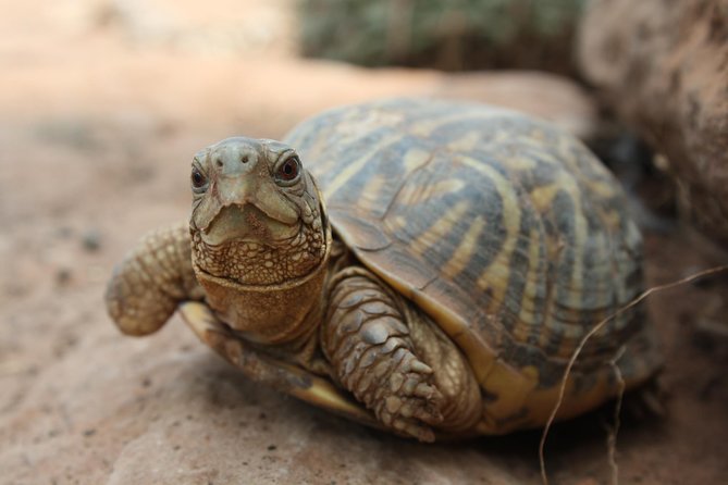 Skip the Line: General Admission to River Bend Nature Center Ticket - Facility Overview