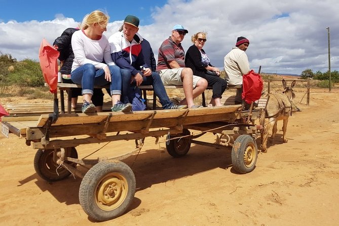 Skip the Line: Highgate Ostrich Farm Tour Ticket - Tour Details and Logistics