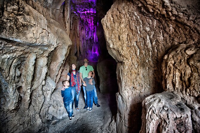 Skip the Line: Jungle Park Tenerife Entrance Ticket - Overview and Ticket Details