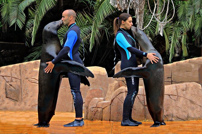 Skip the Line: Jungle Park Tenerife Entrance Ticket - Park Hours and Accessibility