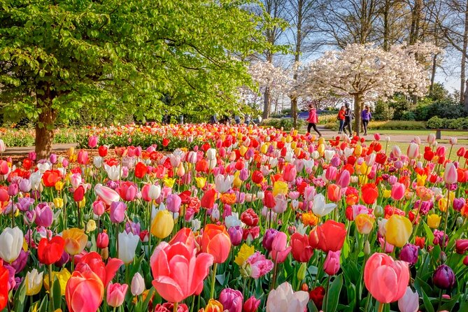 Skip-The-Line Keukenhof Gardens and Tulip Fields Tour From Amsterdam - Inclusions