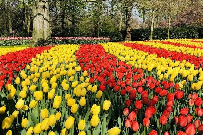 Skip-The-Line Keukenhof Gardens and Tulip Fields Tour From Amsterdam - Explore the Keukenhof Gardens