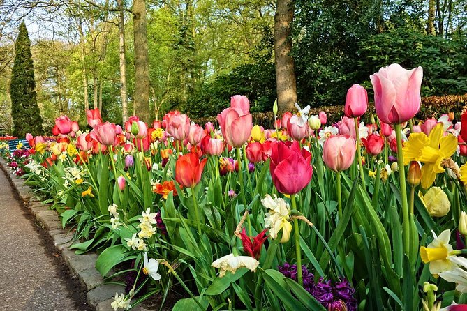 Skip-The-Line Keukenhof Gardens Sighseeing Tour From Amsterdam - Skip-the-Line Access