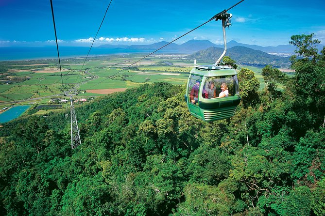 Skip the Line Kuranda Scenic Railway Gold Class and Skyrail Rainforest Cableway - Skyrail Rainforest Cableway