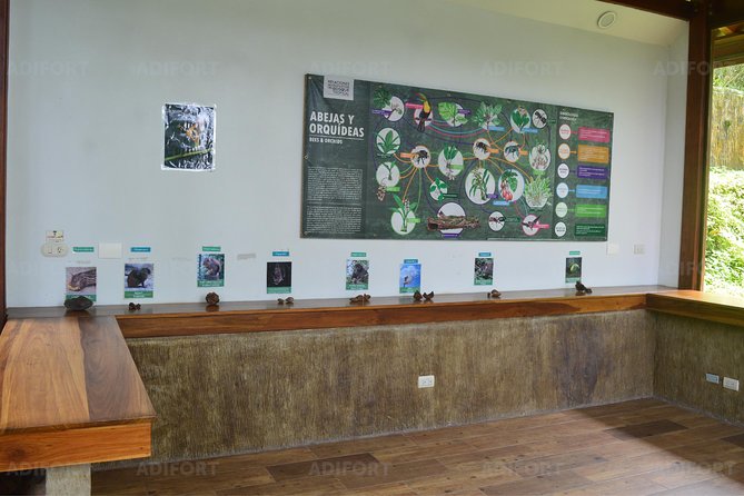 Skip-the-Line La Fortuna Waterfall Admission Ticket - Visitor Experiences