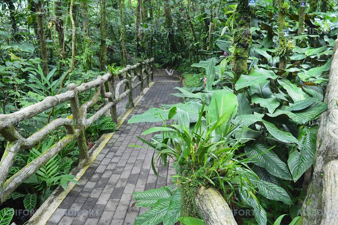 Skip-the-Line La Fortuna Waterfall Admission Ticket - Visitor Feedback and Ratings