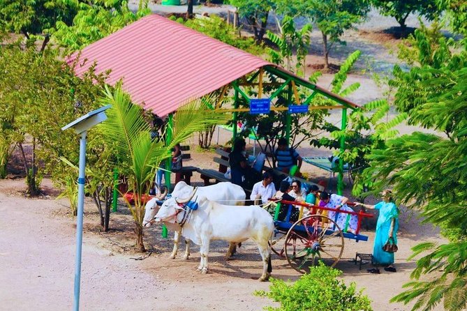 Skip the Line: Meher Retreat Day Picnic Ticket, Near Pune - Dining and Refreshment Offerings