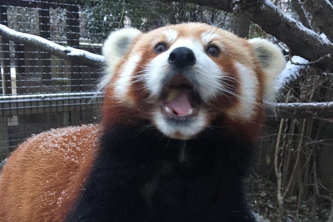 Skip the Line: Miller Park Zoo General Admission Ticket - Variety of Animals and Exhibits