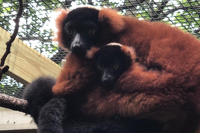 Skip the Line: Miller Park Zoo General Admission Ticket - Childrens Zoo Experiences
