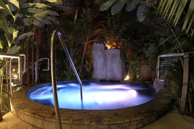 Skip the Line: Mineral Hot Springs Full Day Ticket W/ Optional Lunch or Dinner - Exploring the Thermal Pools